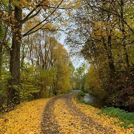 Pino24 Mit Pool Und Sauna 公寓