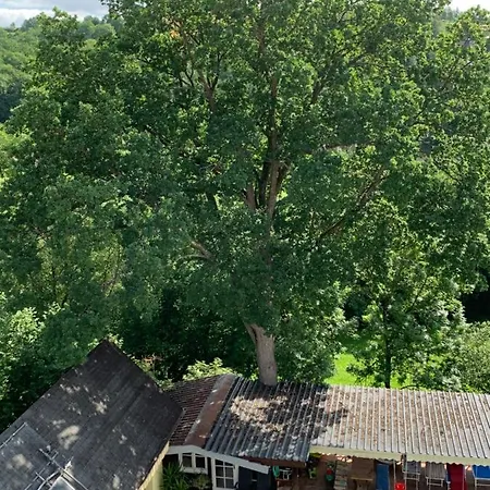 דירה Pino24 Mit Pool Und Sauna הלנברג