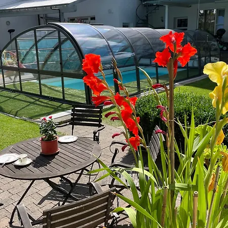 公寓 Pino24 Mit Pool Und Sauna 哈伦贝格