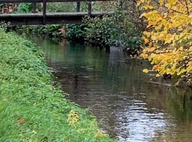 Pino24 Mit Pool Und Sauna *