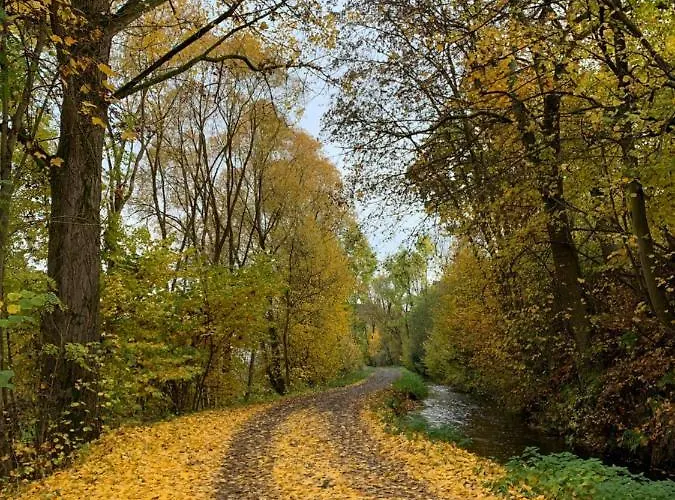 Pino24 Mit Pool Und Sauna Apartamento