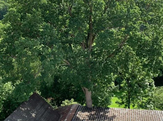 Apartamento Pino24 Mit Pool Und Sauna Hallenberg